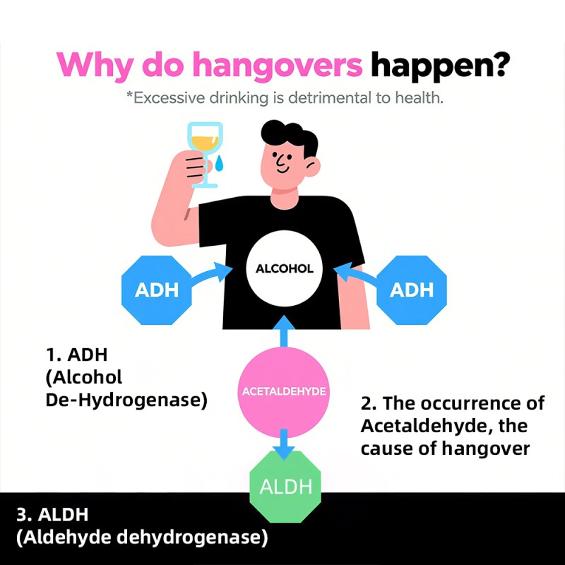 Private Label Hangover Jelly Stick Boost Alcohol Metabolism Refresh Hovenia Dulcis Hangover Jelly Stick