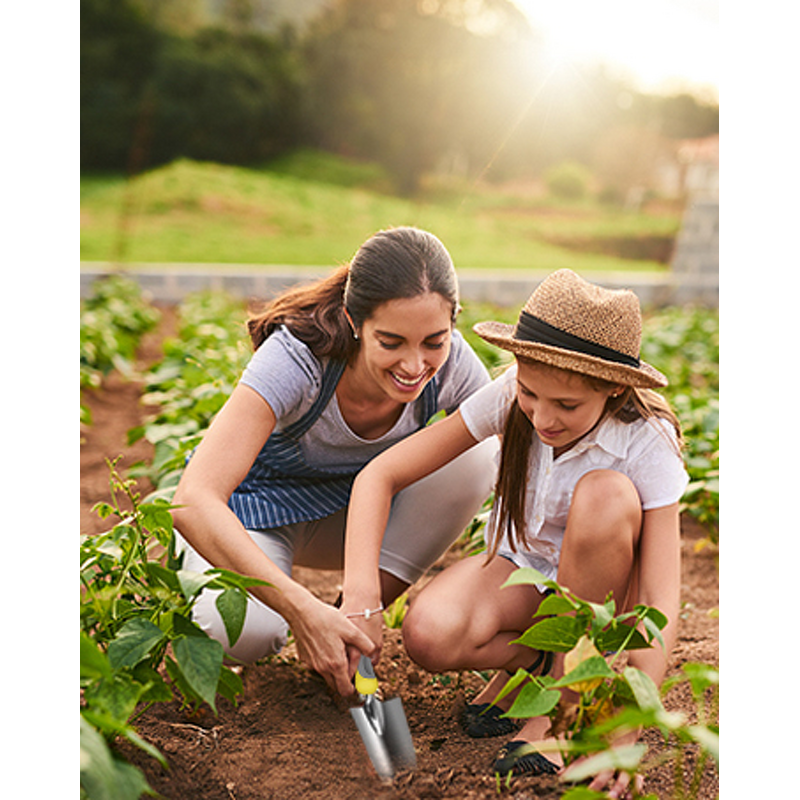 Garden Tools Set Manufacturer - Brand New Other Hand Indoor Garden Set With High Quality