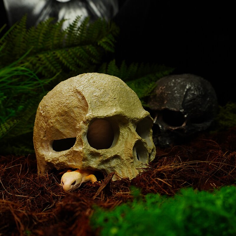 Reptile Supplies Manufacturer - Customizable Fish tank Scorpion Guard Palace Spider Lizard Snake Python Skull Aquarium Accessories