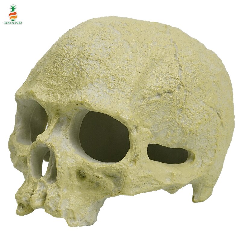 Reptile Supplies Manufacturer - Customizable Fish tank Scorpion Guard Palace Spider Lizard Snake Python Skull Aquarium Accessories