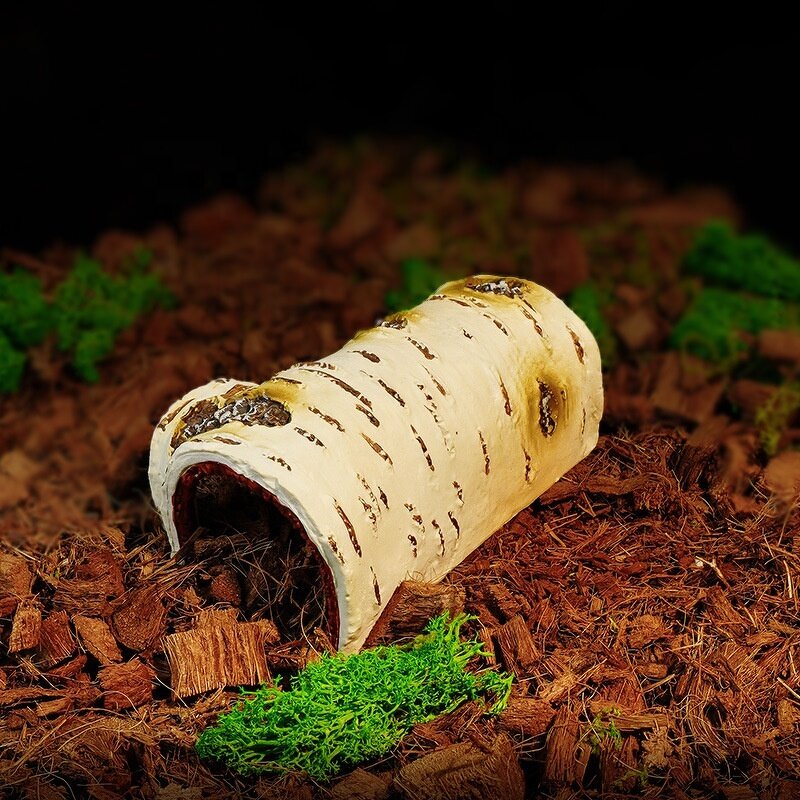 Breeding Box Manufacturer - Direct Sale From Manufacturer Birch Wood for Reptiles & Amphibians Lizard Landscaping Shelter Hole