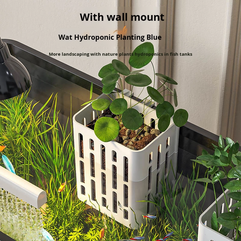 Goldfish Tank Manufacturer - Modern Transparent Plastic Desktop Aquarium for Small Medium-Sized Fish Easy-Care Home Landscape