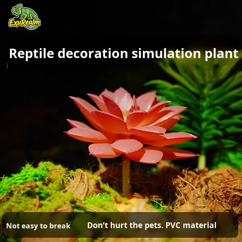 Artificial Plastic Plant Manufacturer - Green for Hermit Crab Landscaping Decorative Artificial Succulent Reptile Amphibian Supplies