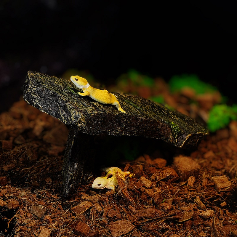 Reptile Basking Platform Manufacturer - Turtle & Climbing Spider Hamster Lizard Gecko Snake Hideout Resin Decoration for Aquariums