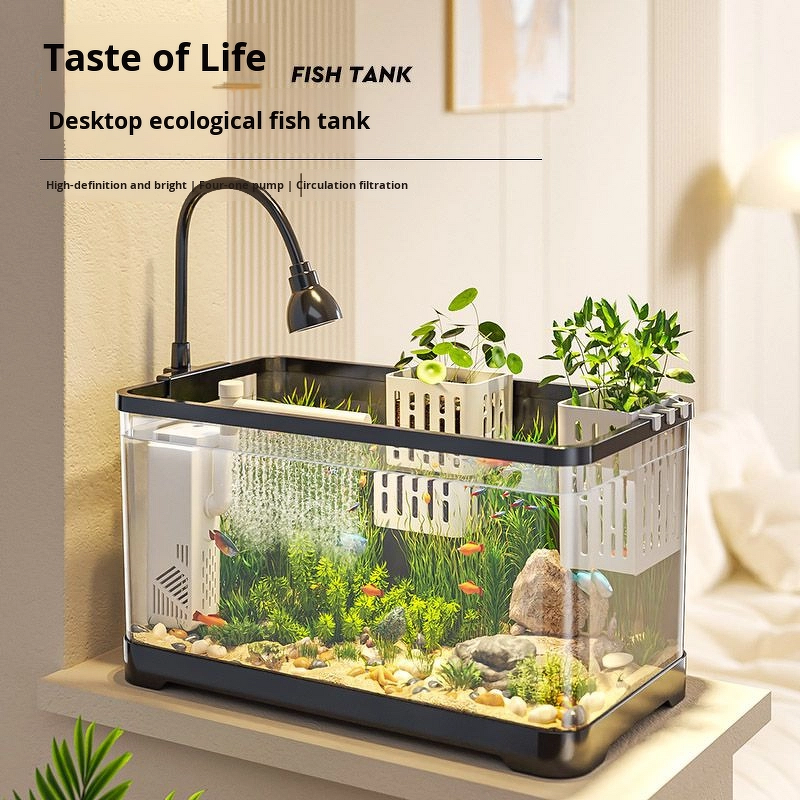 Goldfish Tank Manufacturer - Modern Transparent Plastic Desktop Aquarium for Small Medium-Sized Fish Easy-Care Home Landscape