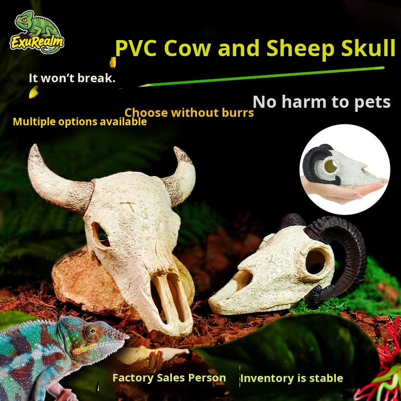 Exotic Pet Breeding Box Manufacturer - Acrylic for Reptiles Amphibians Skulls Rhino Sheep Spider Scorpion Lizard Gecko Display