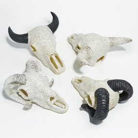 Exotic Pet Breeding Box Manufacturer - Acrylic for Reptiles Amphibians Skulls Rhino Sheep Spider Scorpion Lizard Gecko Display