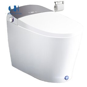 Smart Toilet Manufacturer - Bidet Heated Seat Off-seat Auto Flush Foot Kick Flush Warm Wash Chair Height