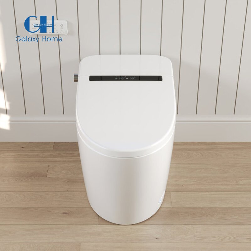 Smart Elongated Bidet Toilet Manufacturer - Modern with Auto/Blackout Flush Heated Seat and Warm Wash Dryer Blackout Finish