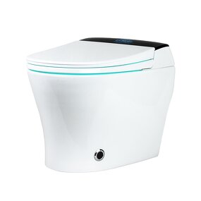 Smart One-Piece Toilet Manufacturer - 2025 Newest Seat Dual-Flush Elongated Bidet Inclusive
