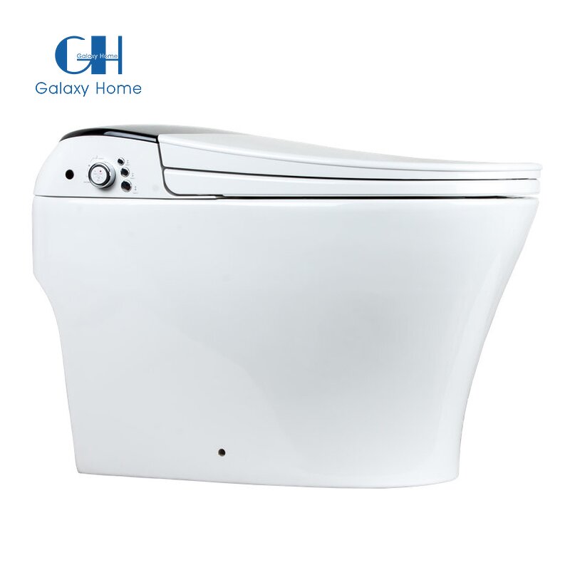 Smart One-Piece Toilet Manufacturer - 2025 Newest Seat Dual-Flush Elongated Bidet Inclusive
