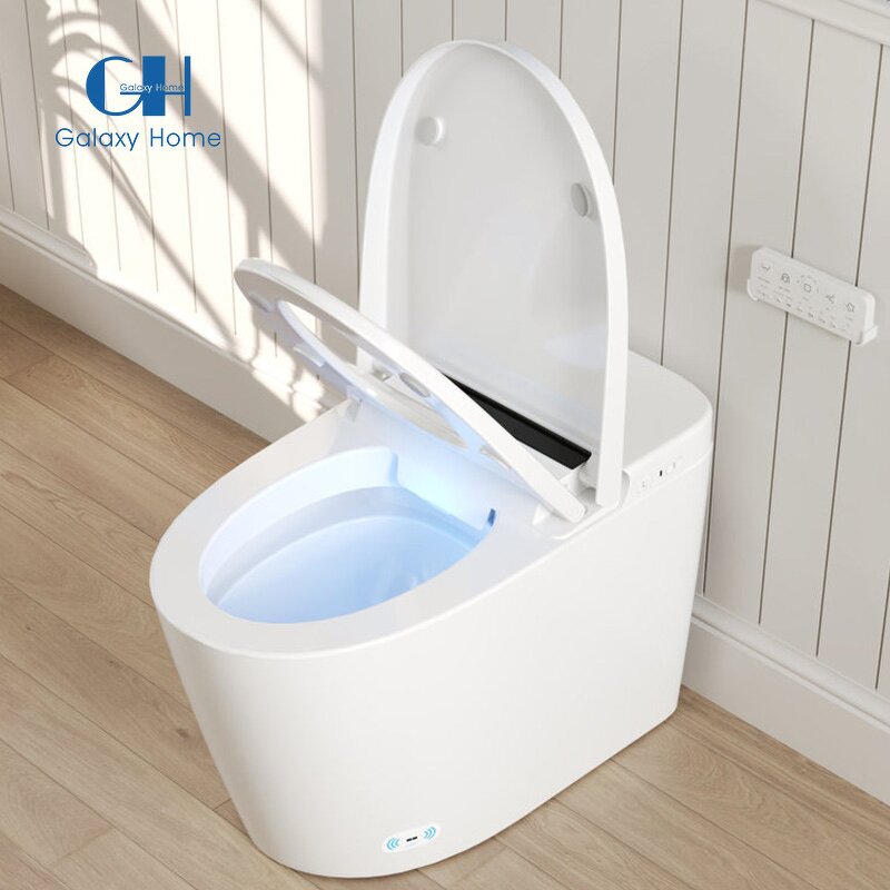 Smart Elongated Bidet Toilet Manufacturer - Modern with Auto/Blackout Flush Heated Seat and Warm Wash Dryer Blackout Finish