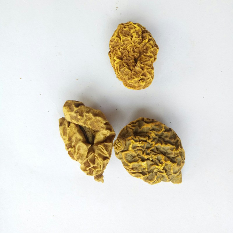 Tinospora Root Factory - Natural Arrowshaped Tinospora Sagittata Rhizome