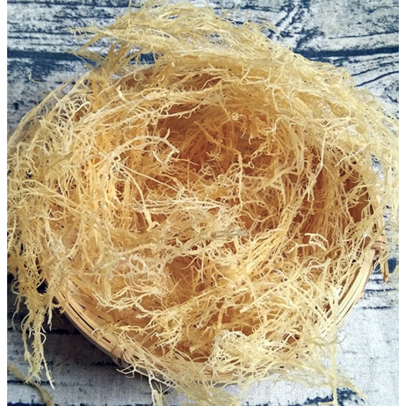 Sea Moss Supplier - 1kg Cheap Price Wild Dried Edible Irish Sea Moss