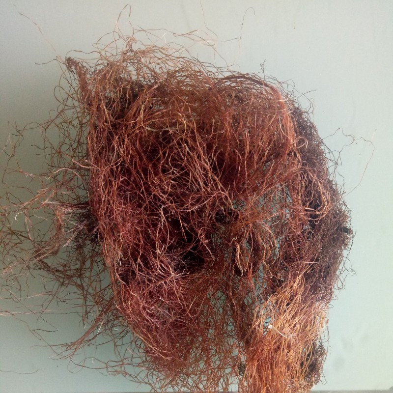 Corn Silk Tea Manufacturer - China Raw Dried Bulk Stigmata Maidis Tea