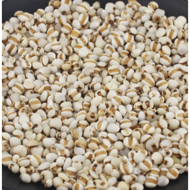 Job's Tears Factory - Dried New Wholesale Job's Tears Fruits Coix Seed