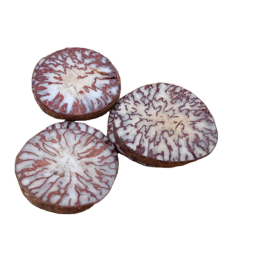 Areca Slices Manufacturer - High Quality Natural Raw Semen Arecae