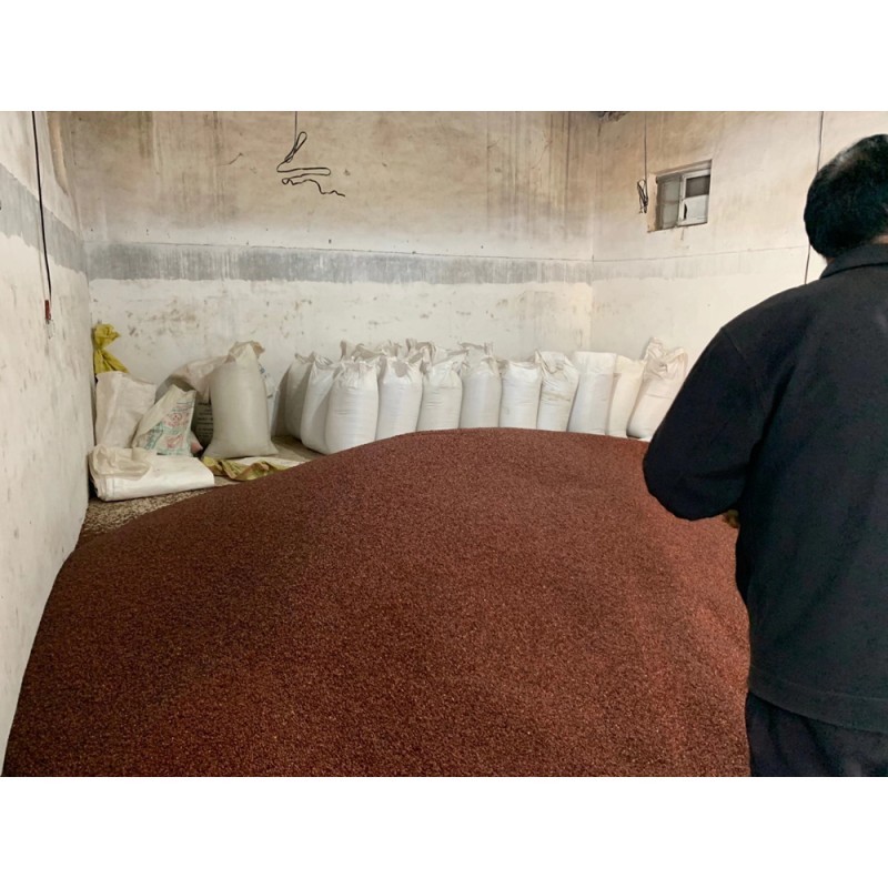 Jujube Seeds Factory - Hot Sale Red Brown Raw Dried Common Jujube Seeds