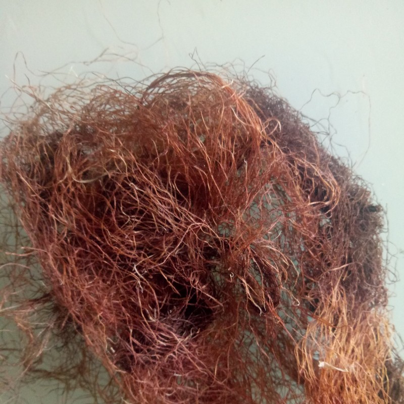 Corn Silk Tea Manufacturer - China Raw Dried Bulk Stigmata Maidis Tea