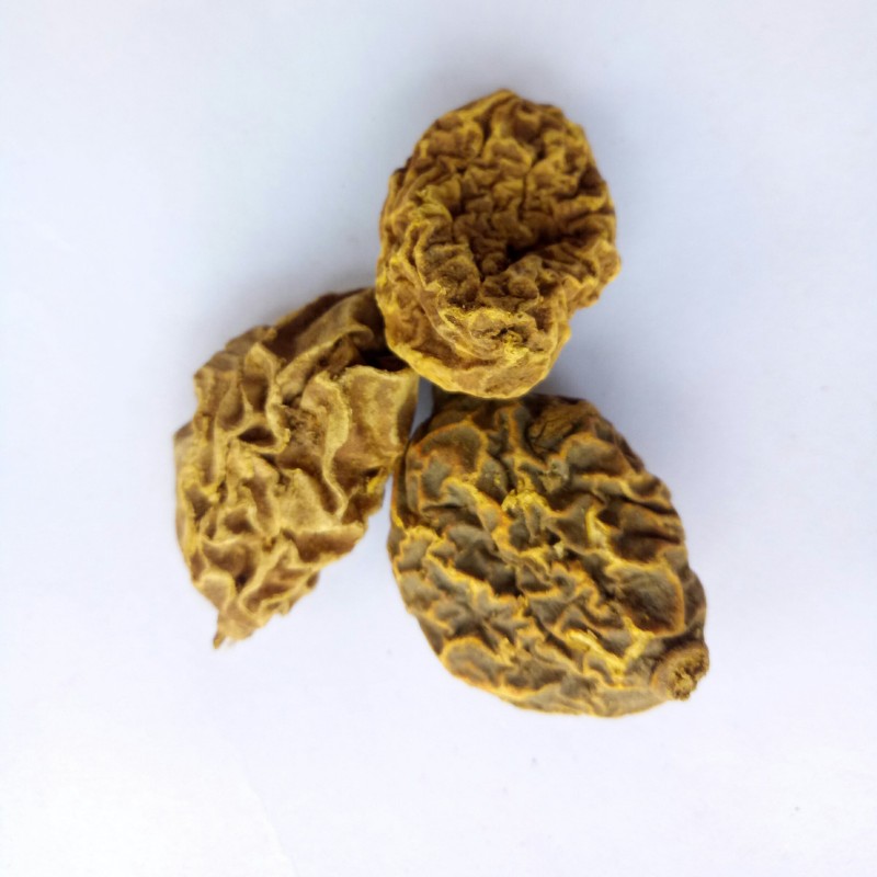 Tinospora Root Factory - Natural Arrowshaped Tinospora Sagittata Rhizome