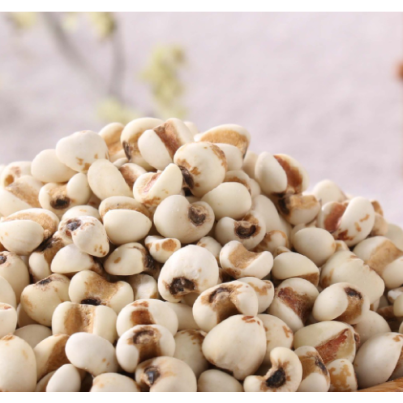 Job's Tears Factory - Dried New Wholesale Job's Tears Fruits Coix Seed