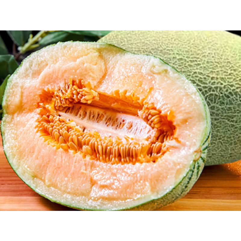Cantaloupe Slices Manufacturer - Pure Dried Dehydrated Sweet Melon Fruits Food
