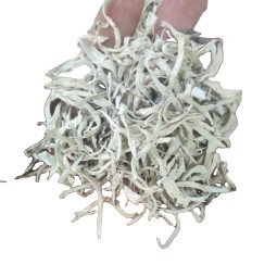 Snow Tea Factory - Yunnan Terricolous Wild Thamnolia Vermicularis Tea