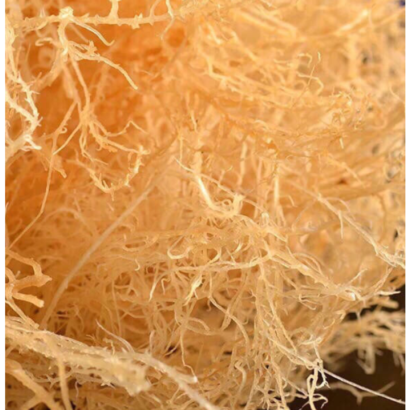 Irish Sea Moss Factory - All Natural Ocean Raw Gold Organic Vegan