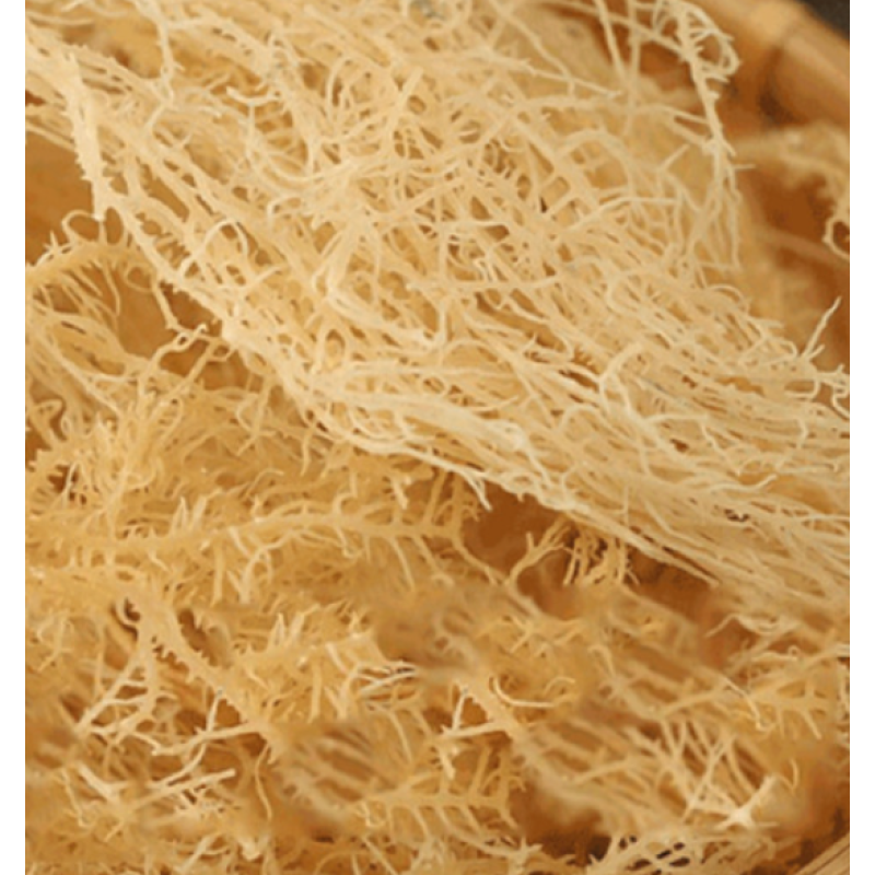 Sea Moss Supplier - 1kg Cheap Price Wild Dried Edible Irish Sea Moss