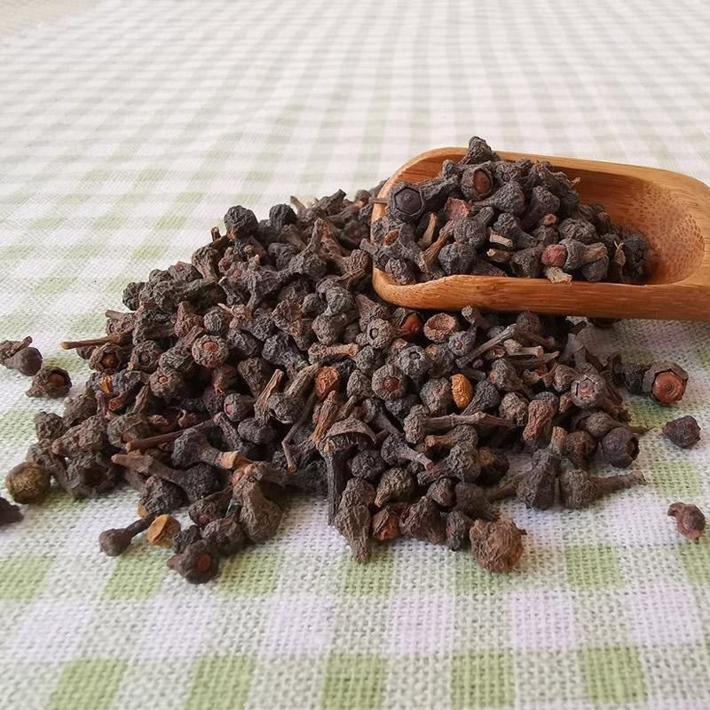 Cassia Seeds Manufacturer - Natural Dried Fructus Cinnamomi Spice Use