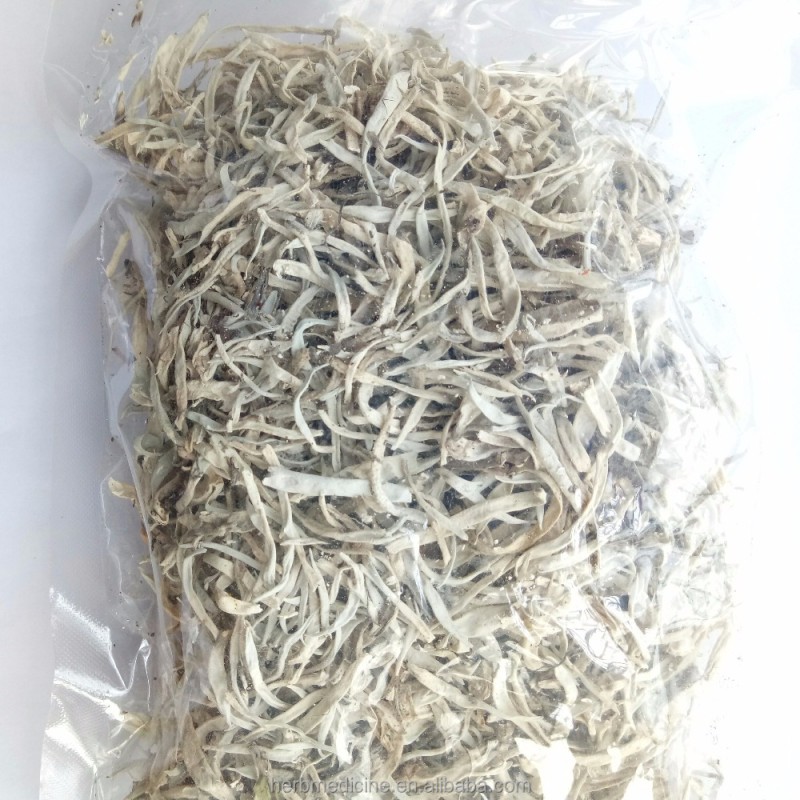 Snow Tea Factory - Yunnan Terricolous Wild Thamnolia Vermicularis Tea