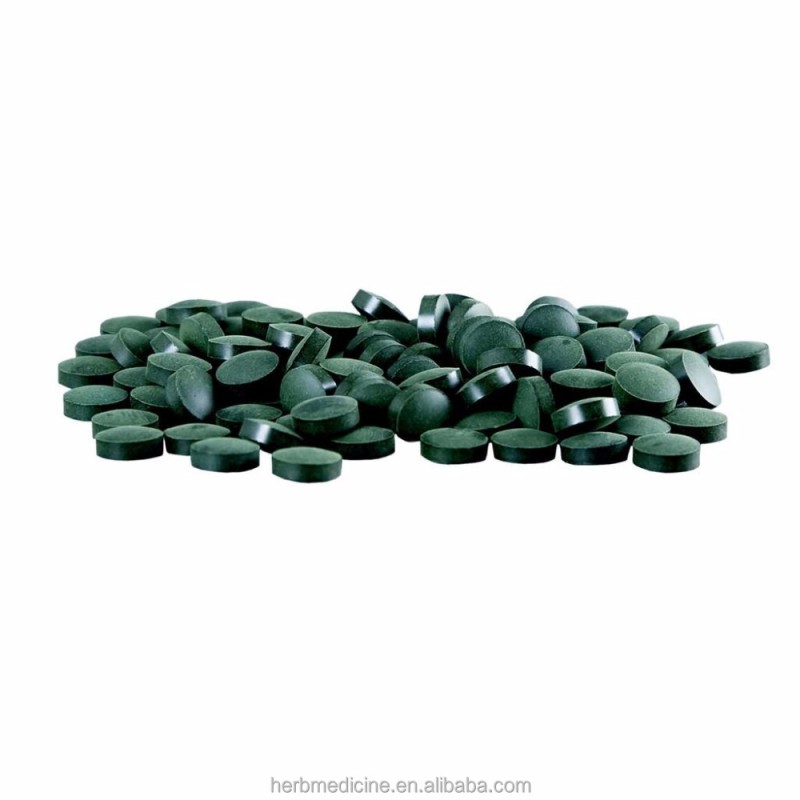 Spirulina Powder Manufacturer - Food Grade Organic Spirulina Platensis Fine Powder