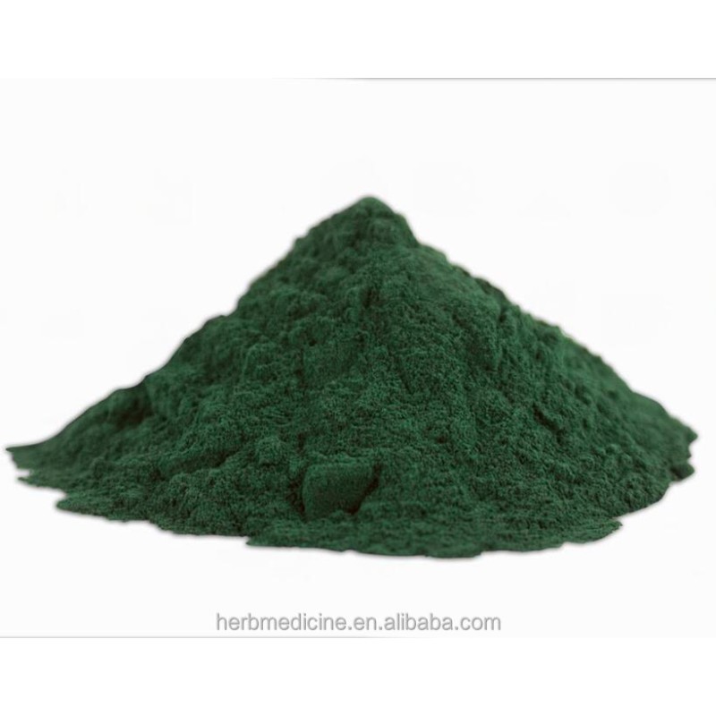 Spirulina Powder Manufacturer - Food Grade Organic Spirulina Platensis Fine Powder