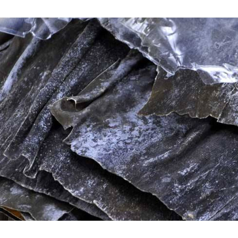 Kelp Manufacturer - Dried Whole Laminaria Algae Bulk Supply Thallus
