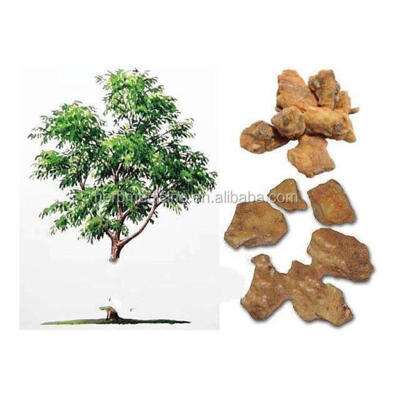 Benzoin Gum Factory - Hand Selected Yellow Benzoin Pure Incense Raw Material