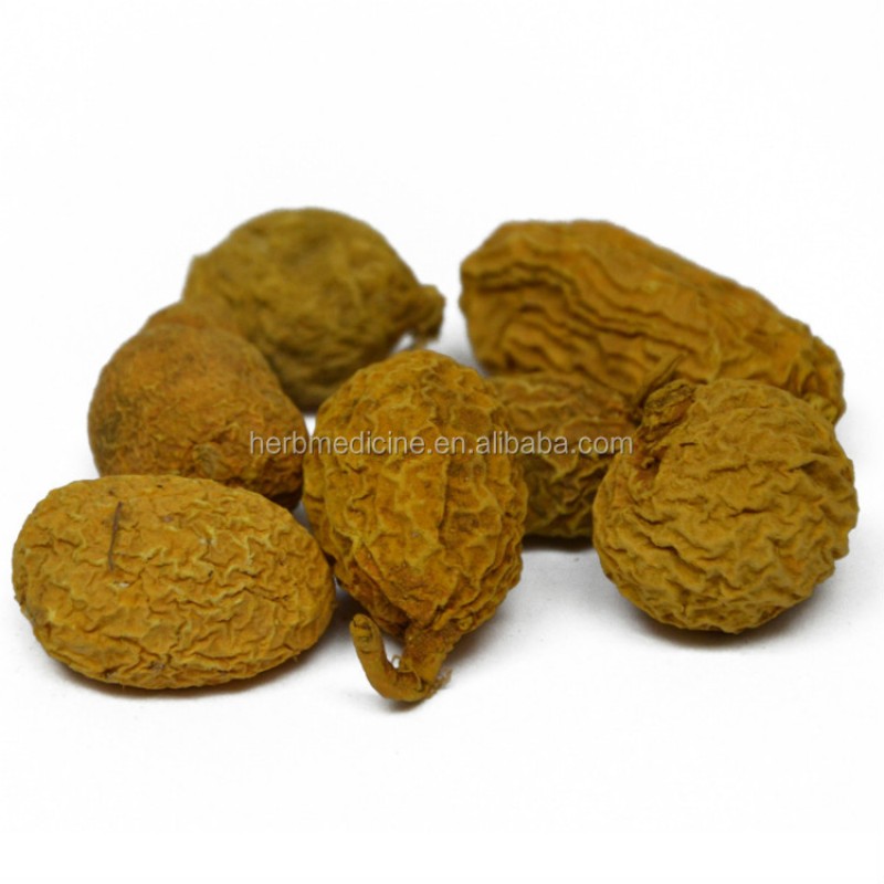 Tinospora Root Factory - Natural Arrowshaped Tinospora Sagittata Rhizome