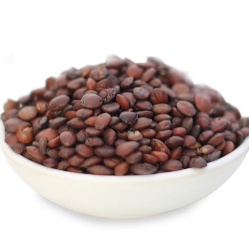 Jujube Seeds Factory - Hot Sale Red Brown Raw Dried Common Jujube Seeds