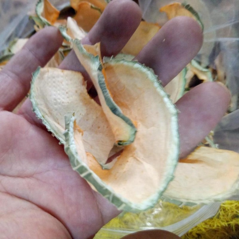 Cantaloupe Slices Manufacturer - Pure Dried Dehydrated Sweet Melon Fruits Food