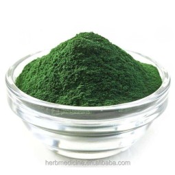 Spirulina Powder Manufacturer - Food Grade Organic Spirulina Platensis Fine Powder