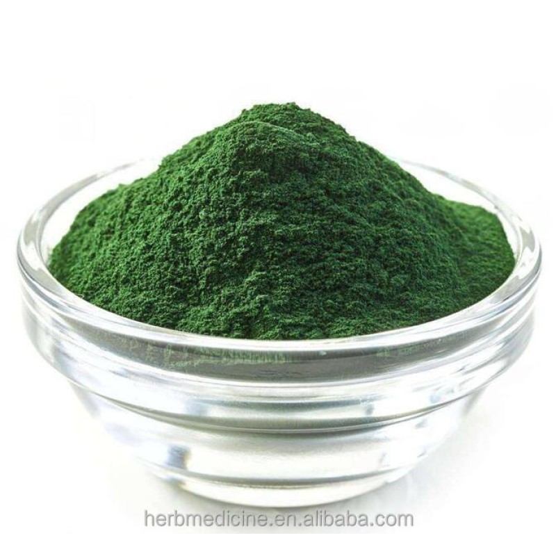 Spirulina Powder Manufacturer - Food Grade Organic Spirulina Platensis Fine Powder
