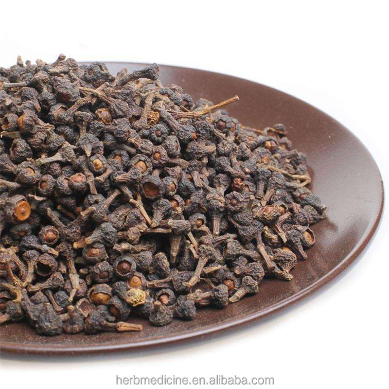 Cassia Seeds Manufacturer - Natural Dried Fructus Cinnamomi Spice Use