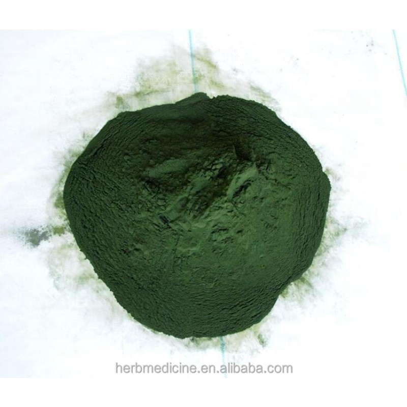 Spirulina Powder Manufacturer - Food Grade Organic Spirulina Platensis Fine Powder