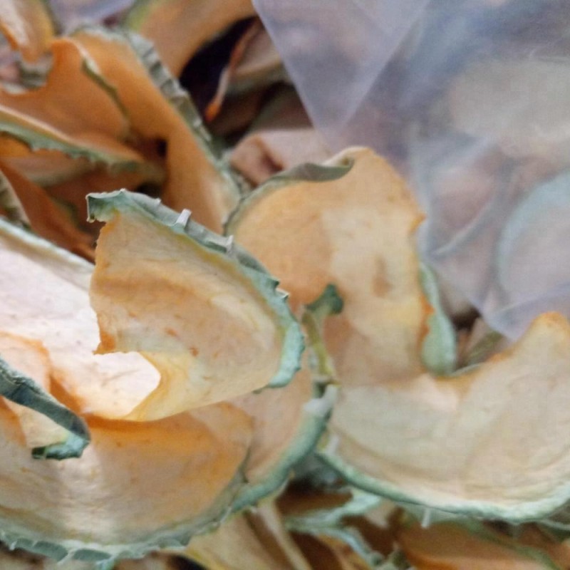 Cantaloupe Slices Manufacturer - Pure Dried Dehydrated Sweet Melon Fruits Food
