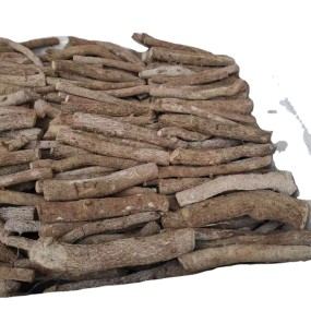 Paulownia Roots Supplier - Chinese Pavement Tree Fresh Live Paulownia Roots