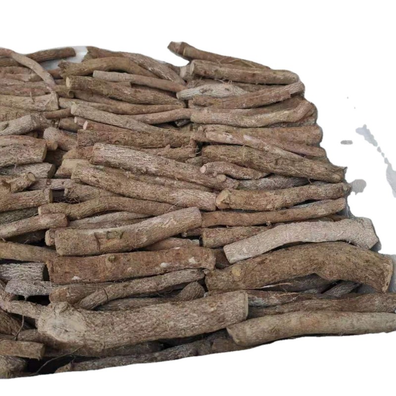 Paulownia Roots Supplier - Chinese Pavement Tree Fresh Live Paulownia Roots