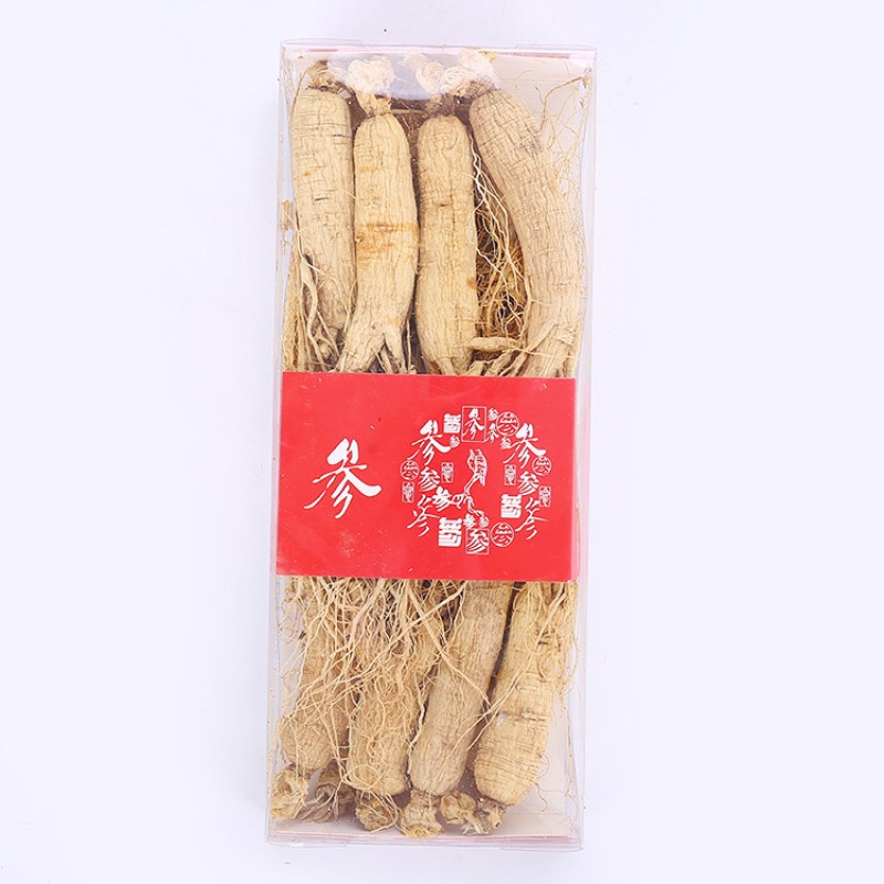 White Ginseng Root Factory - ISO9001 Certified Big Size Raw Dried Processing