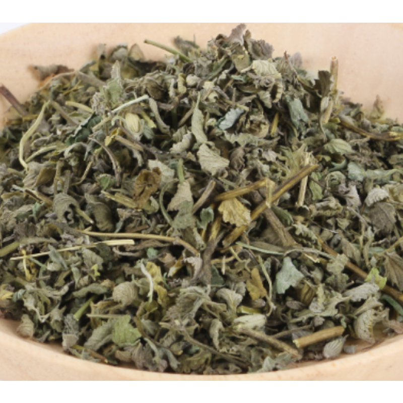 Catnip Herb Manufacturer - 100% Natural Fresh Dried Green Cat Mint Shredded