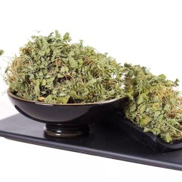 Gotu Kola Leaf Manufacturer - Natural Dried Asiatic Pennywort Herb Tea