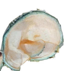 Cantaloupe Slices Manufacturer - Pure Dried Dehydrated Sweet Melon Fruits Food