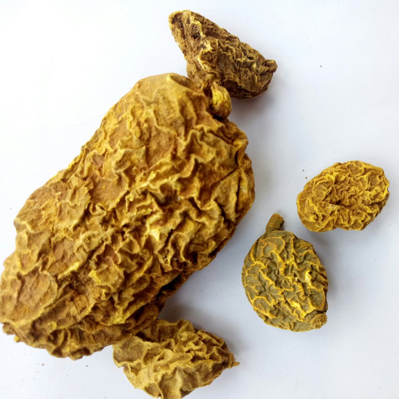 Tinospora Root Factory - Natural Arrowshaped Tinospora Sagittata Rhizome